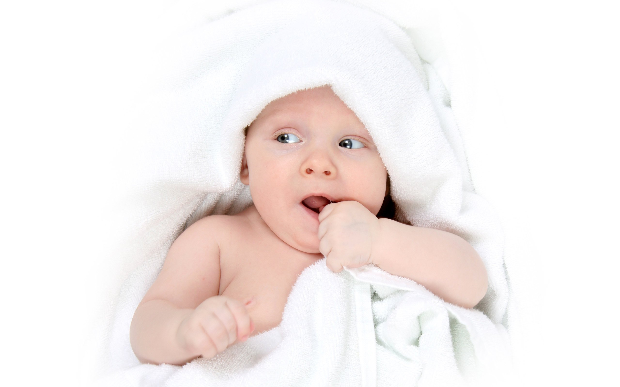 呼和浩特助孕供卵去美国生二胎试管成功率